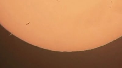 Microscopic Alien World