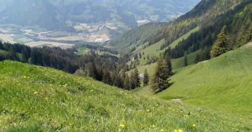 Mobiltransceiver: Auswahl schrumpft