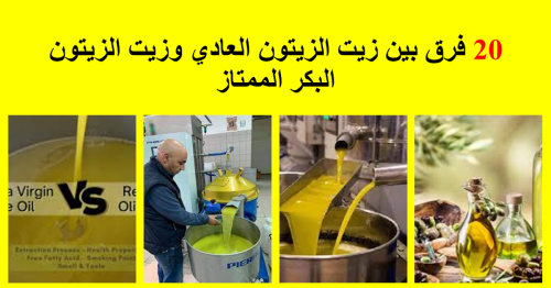 20 فرقا بين زيت الزيتون العادي وزيت الزيتون البكر الممتاز