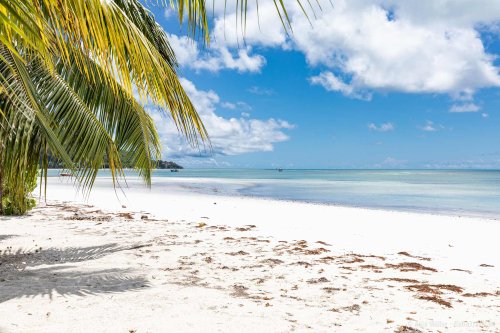 Seychellen: 8 Praslin Sehenswürdigkeiten, Strände und Tipps