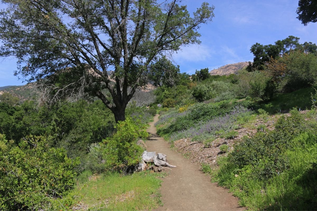 10 Great Santa Barbara Hiking Trails To Tackle