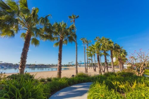 16 Things to Do in Marina Del Rey, CA