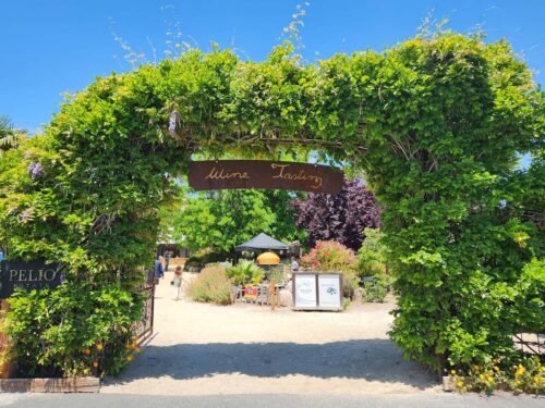 15 Top Wineries in Carmel Valley to Visit