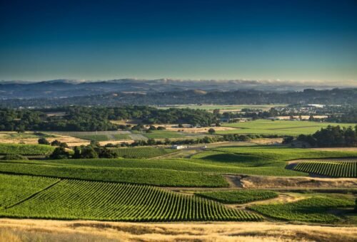 11 Things to Do in Sonoma Wine Country (Wine + Lots More)
