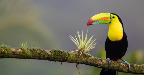 A Guide to Costa Rica for Solo Travelers