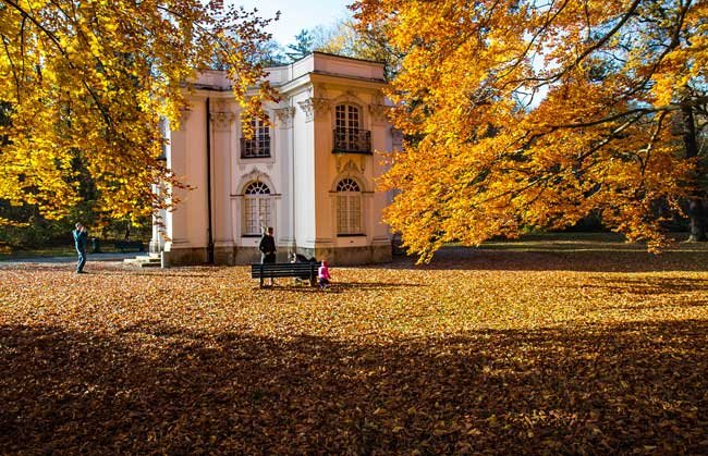 Autumn at Bavaria's Nymphenburg Palace: A Step Back in Time