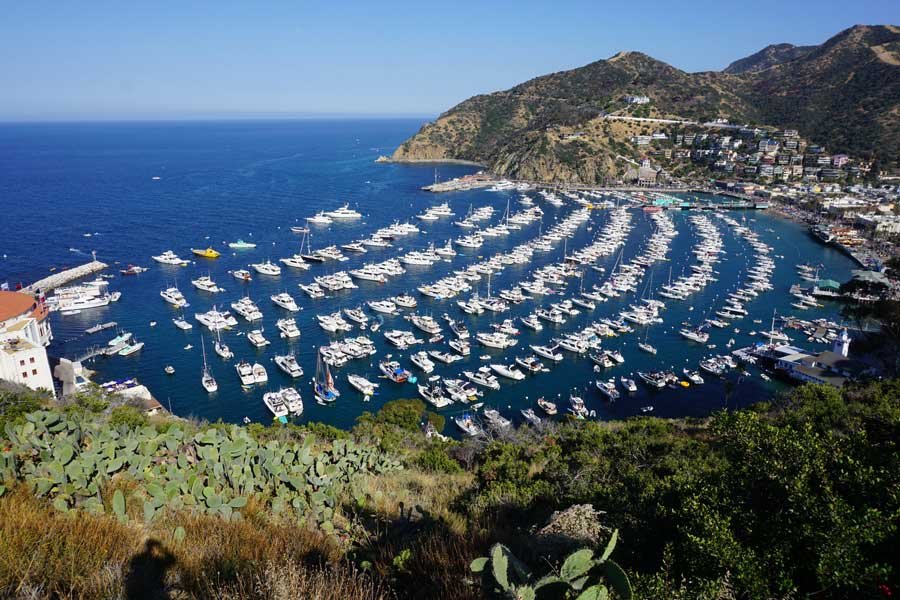Hiking on Catalina Island: What to Do in California's Channel Islands