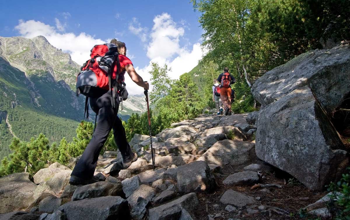 Top Hiking Trails in