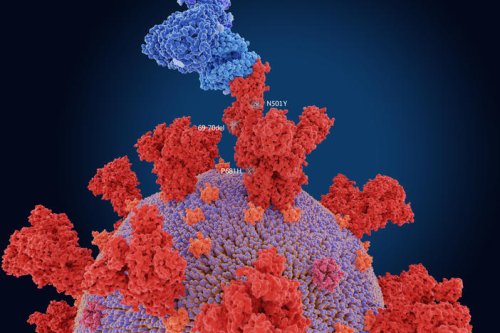 Is The Variant From India The Most Contagious Coronavirus Mutant On The Planet?