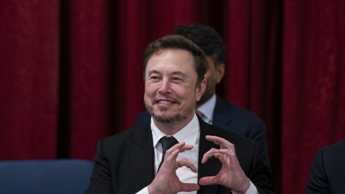 Twitter: Musk will jeden Nutzer zahlen lassen