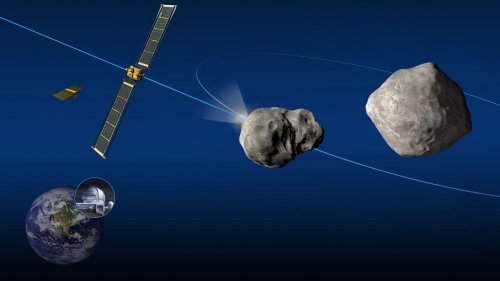 SpaceX: Elon Musks Firma will gemeinsam mit der NASA einen Asteroiden auf Kollisionskurs stoppen