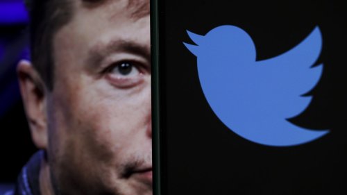 Elon Musk will verbannte Twitter-Accounts wiederbeleben – ist das die Rückkehr der Bösen?