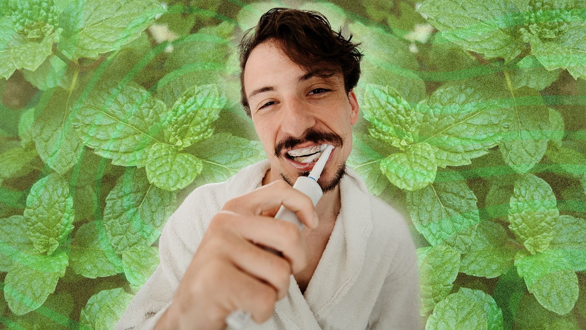 Les 8 bienfaits de la menthe sur votrre santé : meilleure digestion, cheveux plus résistants, mémoire améliorée…