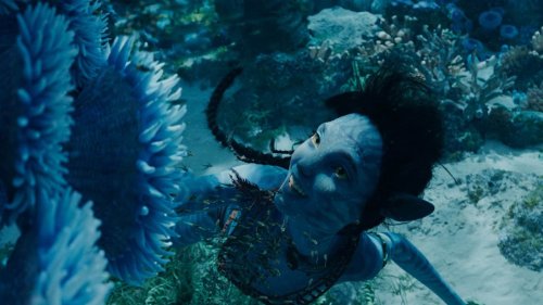 Avatar 2 : James Cameron explique pourquoi “il est normal de se lever et d'aller faire pipi” pendant le film