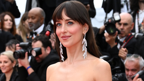 Dakota Johnson irradie le tapis rouge dans une robe longue transparente ornée de paillettes