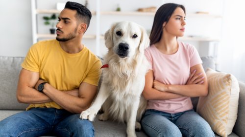 Et si votre chien était votre meilleur allié pour savoir si votre partenaire est infidèle ? Les révélations d'une experte - Grazia