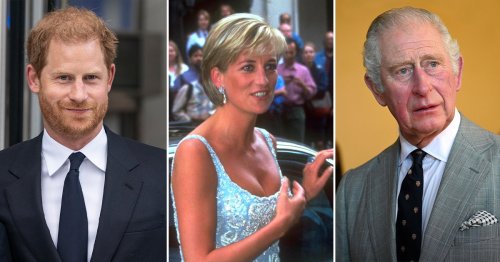 ‘Spoiled Brattism’ And A ‘Guilty’ Father: Are Charles And Diana To Blame For Prince Harry’s Royal Rift?