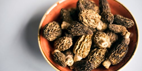 How to Cook Morels