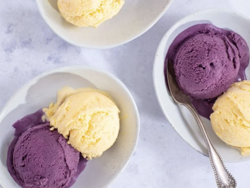 Homemade Blueberry Ice Cream Recipe
