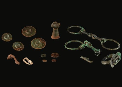 Items Used by Roman Cavalry Unearthed by Metal Detectorist