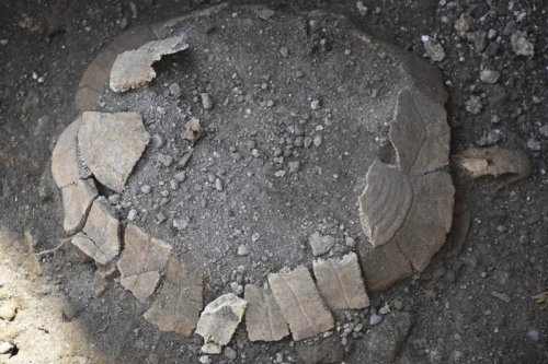 2,000 Year Old Tortoise and its Egg Found in Latest Pompeii Discovery