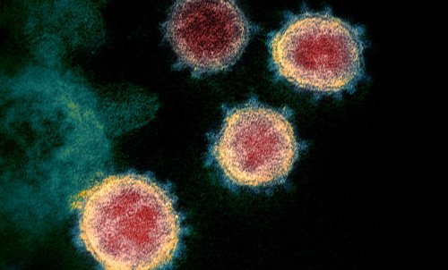 Omicron: 60% of Americans Will be Infected by March, Study Says
