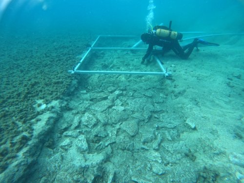 Road Built 7,000 Years Ago Found at Bottom of Mediterranean Sea - GreekReporter.com