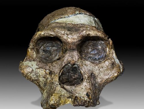 Human Ancestors One Million Years Older than Previously Thought