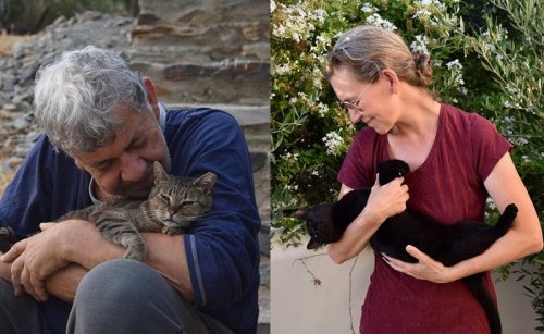 The Anglo-Danish Couple Who Devote their Lives to Saving Greek Cats