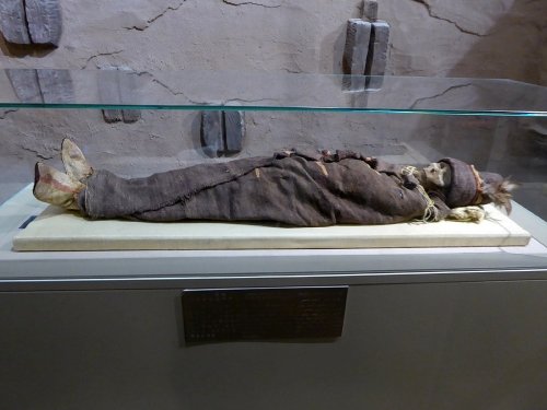Tarim Mummies from China May be Ancestors of Native Americans