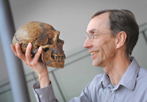 Geneticist Who Sequenced Neanderthal Genome Awarded Nobel Prize