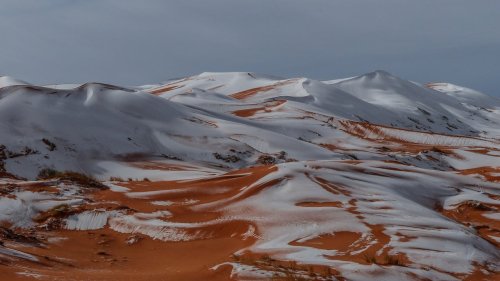 Snow Falls in the Sahara Desert