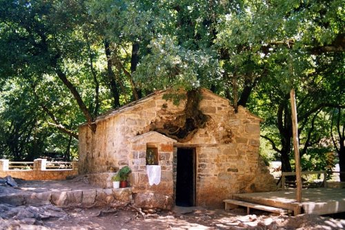 Greece's Miracle Church: 17 Oak Trees Sprout From Its Roof and Walls - GreekReporter.com