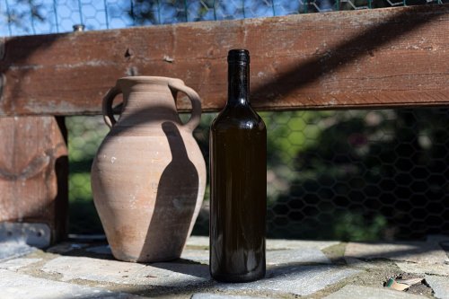 Greece’s Olive Sector Faces Uncertainty Amid US Tariffs