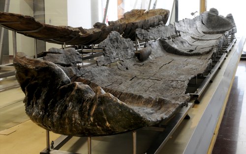 Oldest Canoes Ever Found Unearthed off the Coast of Italy