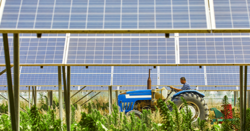 More energy on less land: the drive to shrink solar’s footprint | GreenBiz