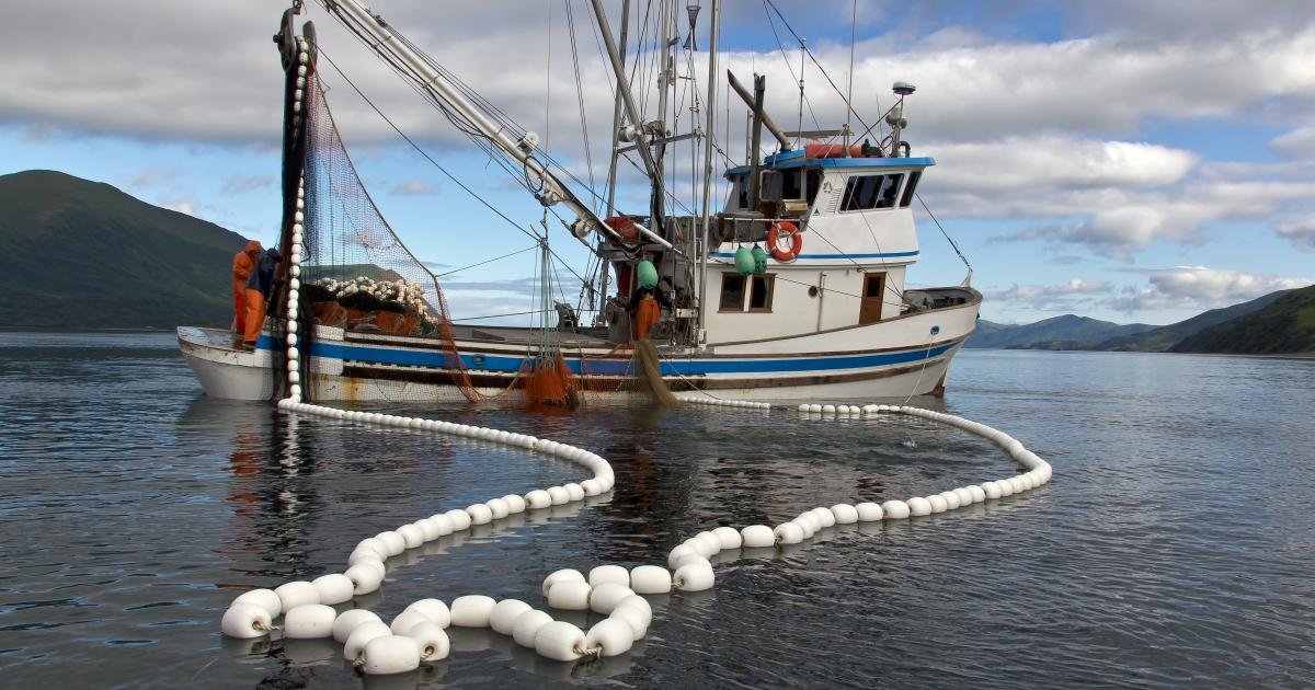 It's time to stop harmful fishing subsidies