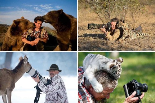 22 Photos That Caught The Magical Moment Between A Photographer And An Animal