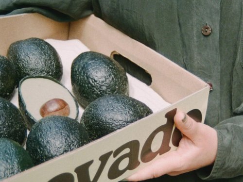 Ecovado Targets the Avocado Environmental Impact: Will Consumers Buy It?