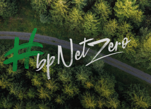 The Corporate Net Zero Climate Pledge: A Big Zero?