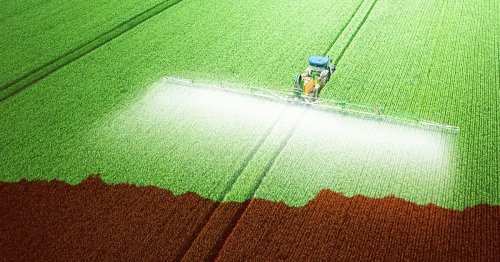 War in Ukraine's fertilizer crisis may mean a global food shortage