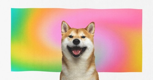 Good doge: How the internet adopted the Shiba Inu and gave it a forever home