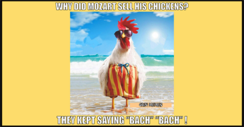 Chicken Beach Meme Funny Joke