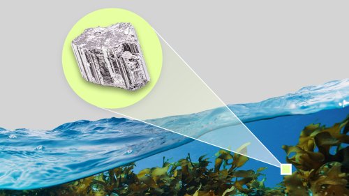 In the race to find critical minerals, there’s a ‘gold mine’ literally at our shoreline