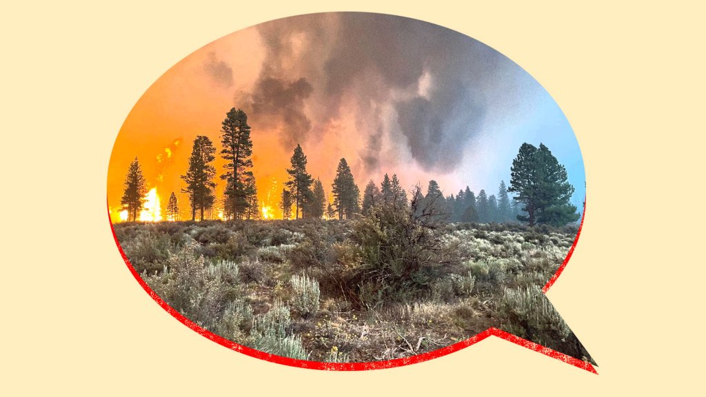 Environmental News - cover