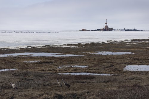 As permafrost thaws, a Biden-supported drilling plan is on unstable ground