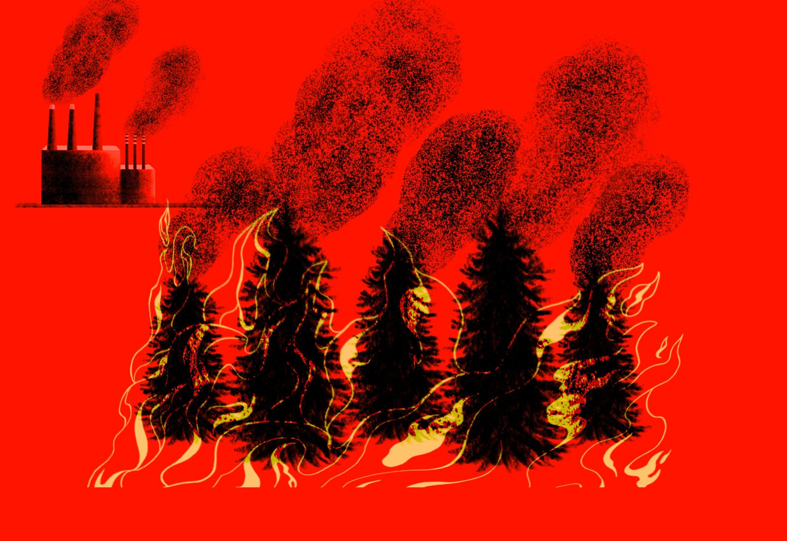The forests backing California's carbon offsets are burning up