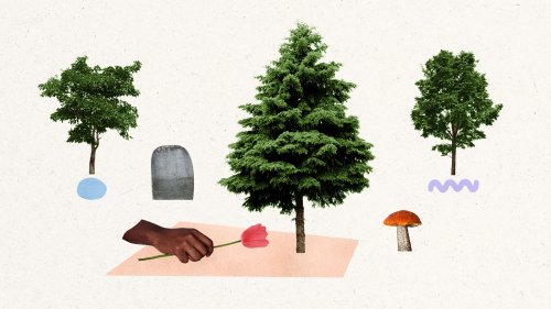 Green burial is a growing trend. Could it become the norm?