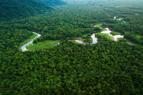 The best way to save forests? Legally recognize Indigenous lands.