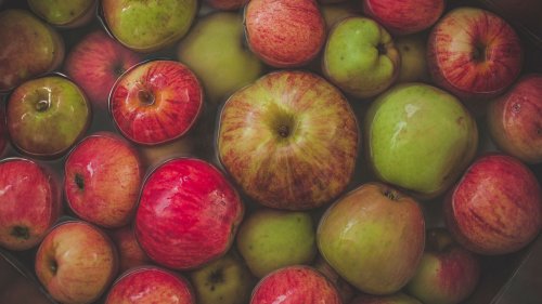 An apple(sauce recipe) for your thoughts